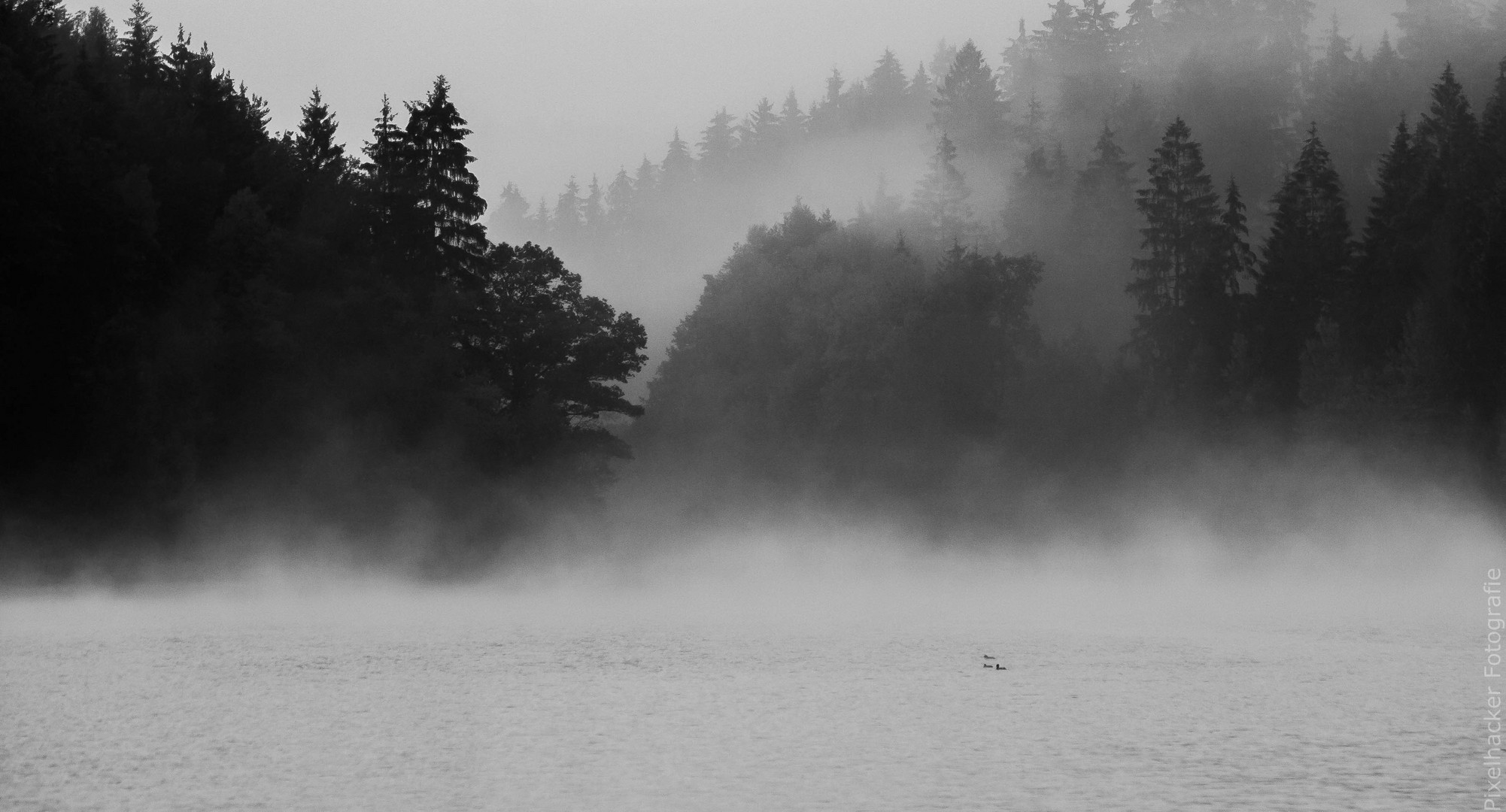 Morgentlicher Nebel am Bergsee