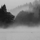 Morgentlicher Nebel am Bergsee