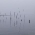 Morgentlicher Nebel auf der Müritz