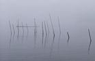 Morgentlicher Nebel auf der Müritz by Mellis Art 