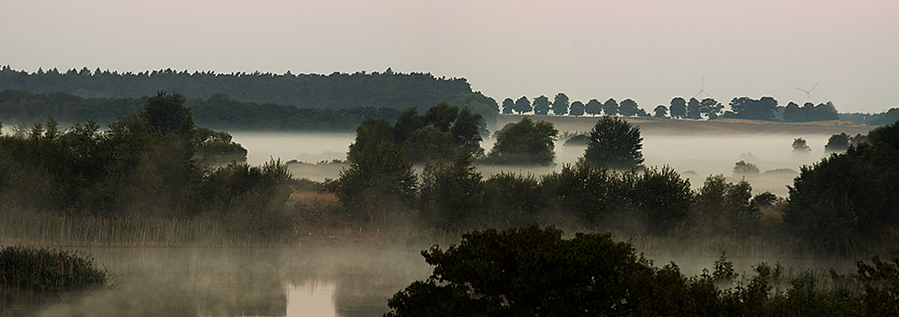 morgentlicher Nebel im Recknitztal