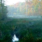 Morgentlicher Nebel über den Bungtbach