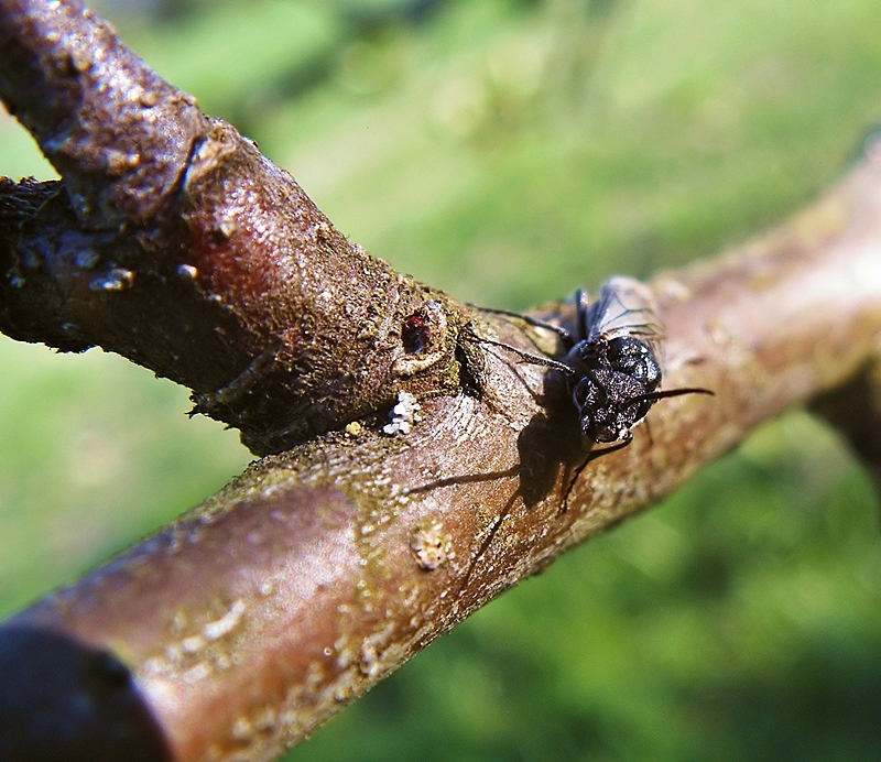 Morgentliches erwachen