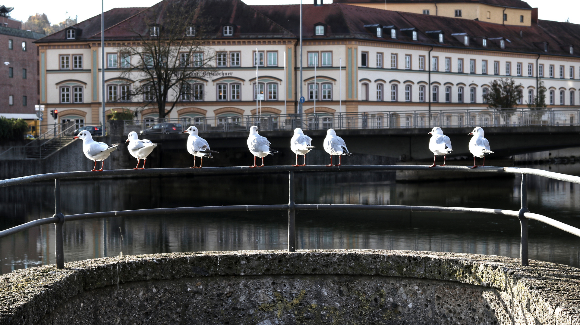 ...morgentliches Sonnenbad...