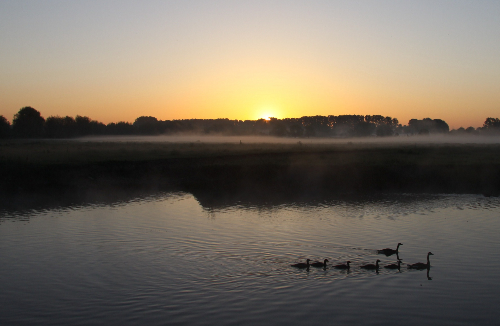 Morgentoilette