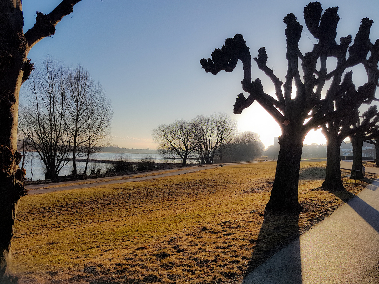 Morgentraum am Rhein