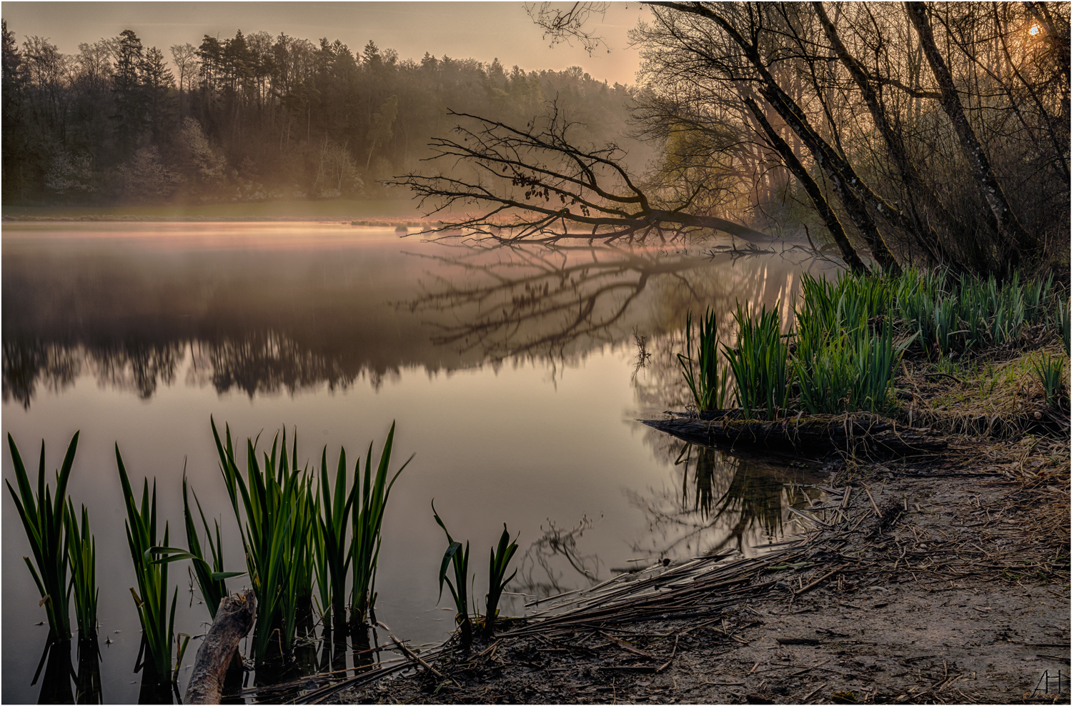 Morgentshofsee-Nebel