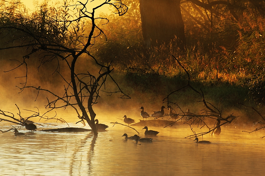 Morgenwäsche im Sonnenaufgang