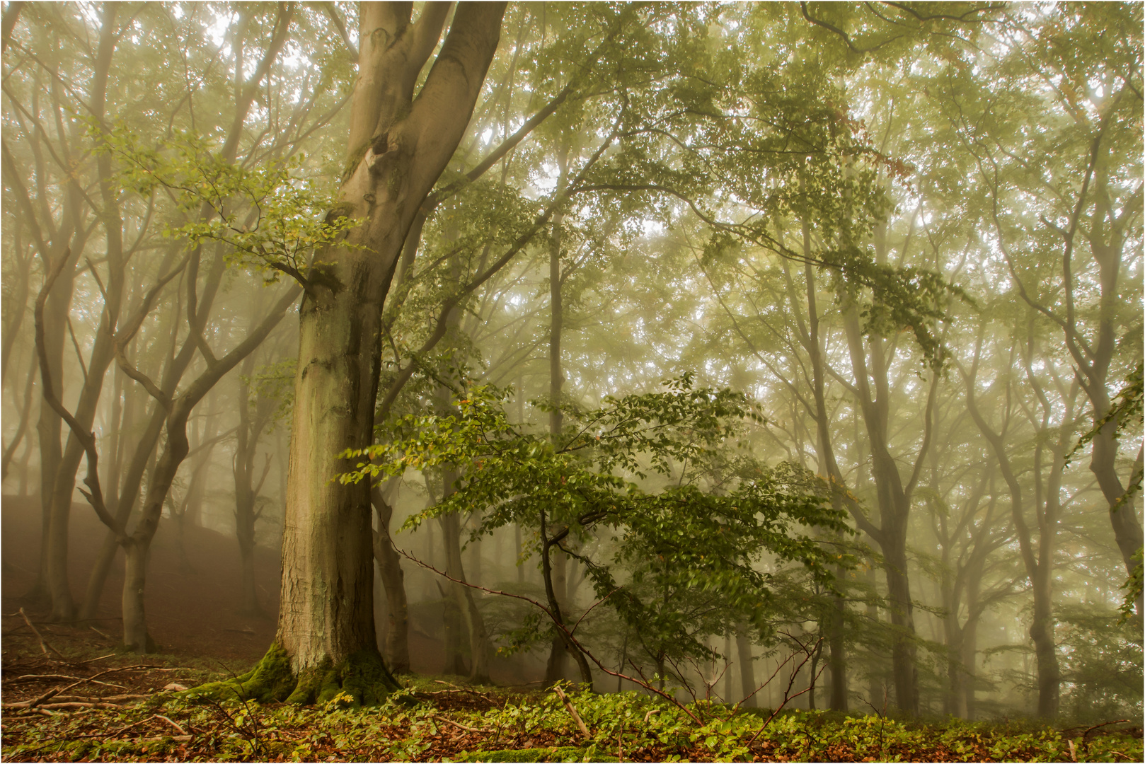 Morgenwanderung