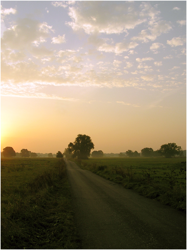 Morgenweg (1)