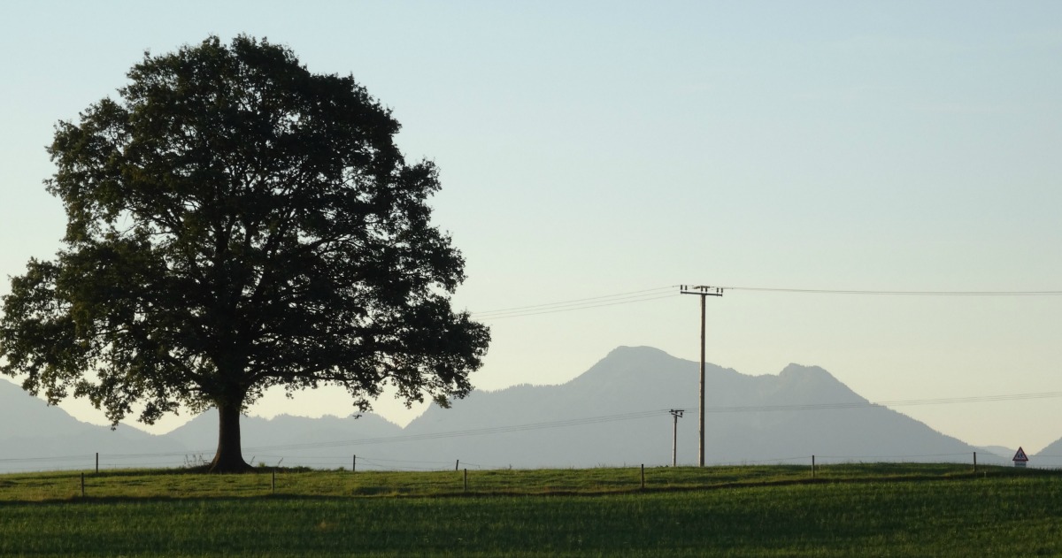 Morgenwiesen – Bayern