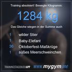 Morgenworkout