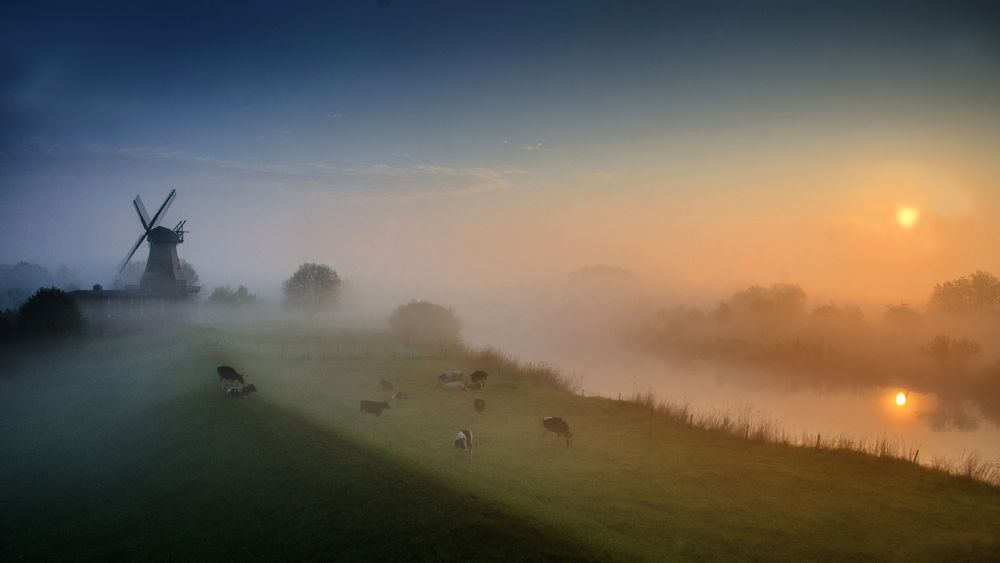 Morgenzauber von Gundula Ida Gäntgen 