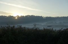 Morgenzerrung