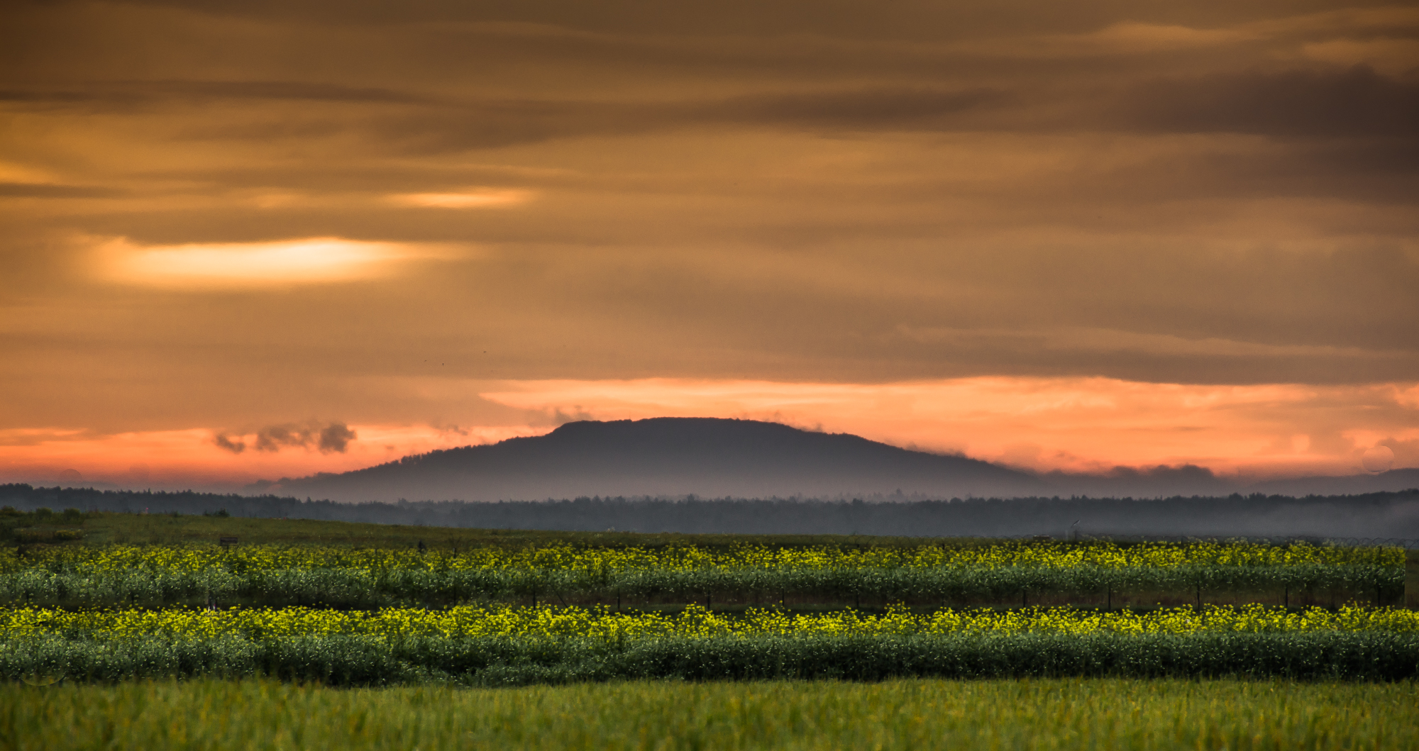 Moritzberg am Morgen