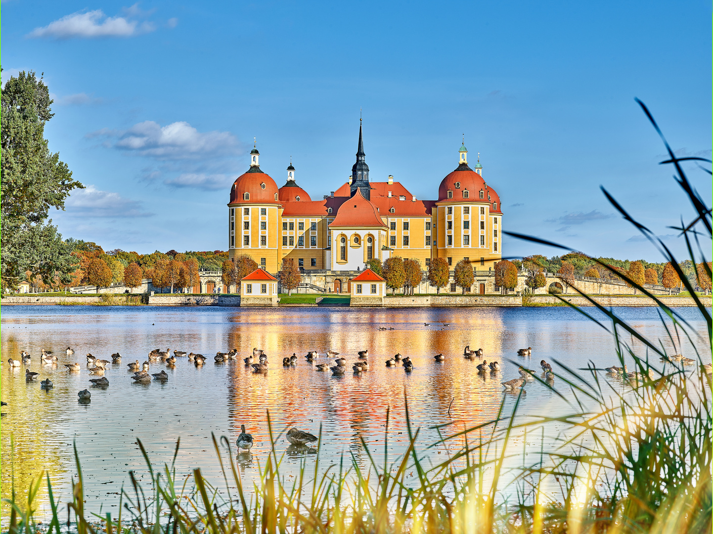 Moritzburg 