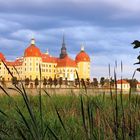 Moritzburg 2