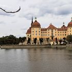 Moritzburg (2)