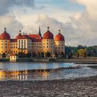 Moritzburg