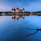 [moritzburg...]