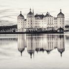 Moritzburg (4)