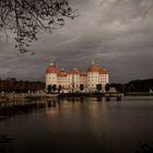 Moritzburg