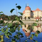 Moritzburg