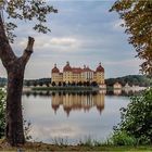 Moritzburg