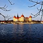 Moritzburg