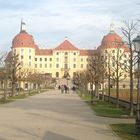 Moritzburg