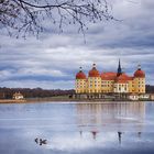 Moritzburg