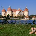 Moritzburg