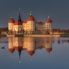 Moritzburg 