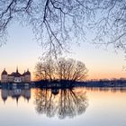 Moritzburg am Morgen