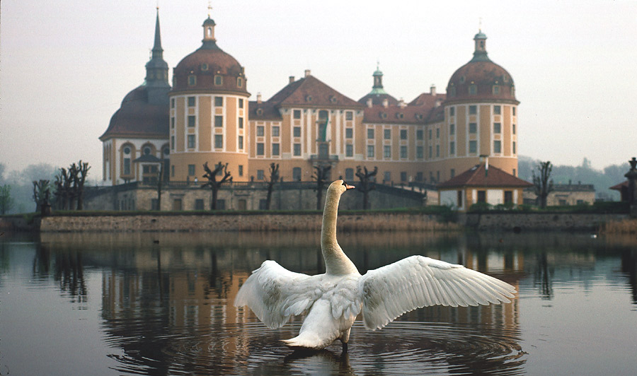 Moritzburg bei Dresden