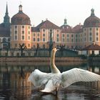 Moritzburg bei Dresden