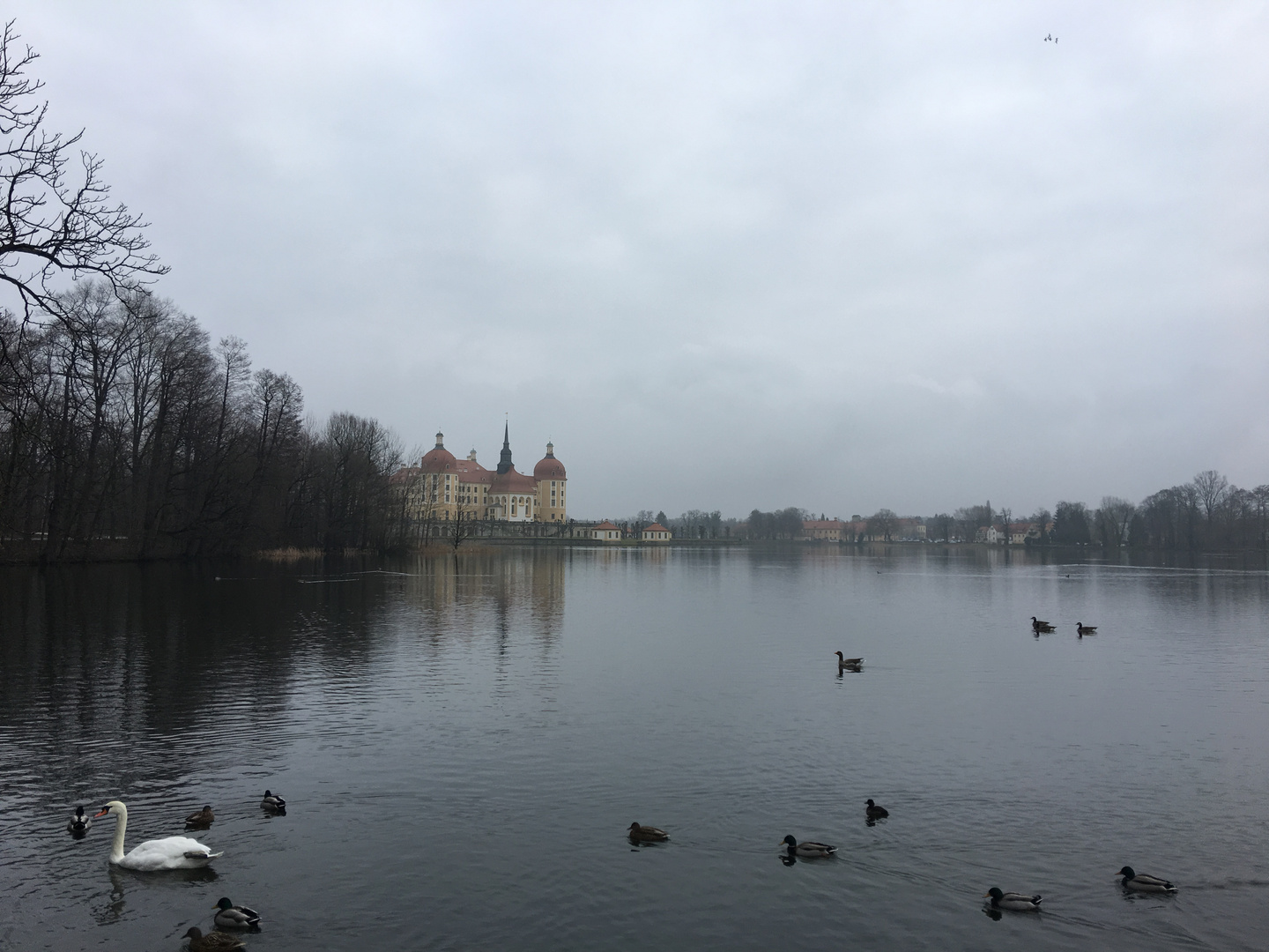 Moritzburg bei Dresden im Herbst