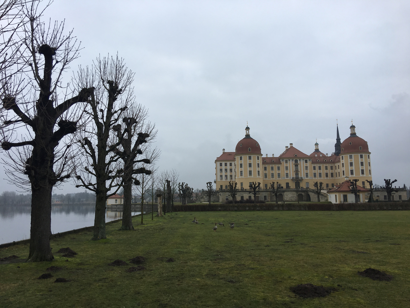 Moritzburg bei Dresden im Herbst