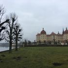 Moritzburg bei Dresden im Herbst