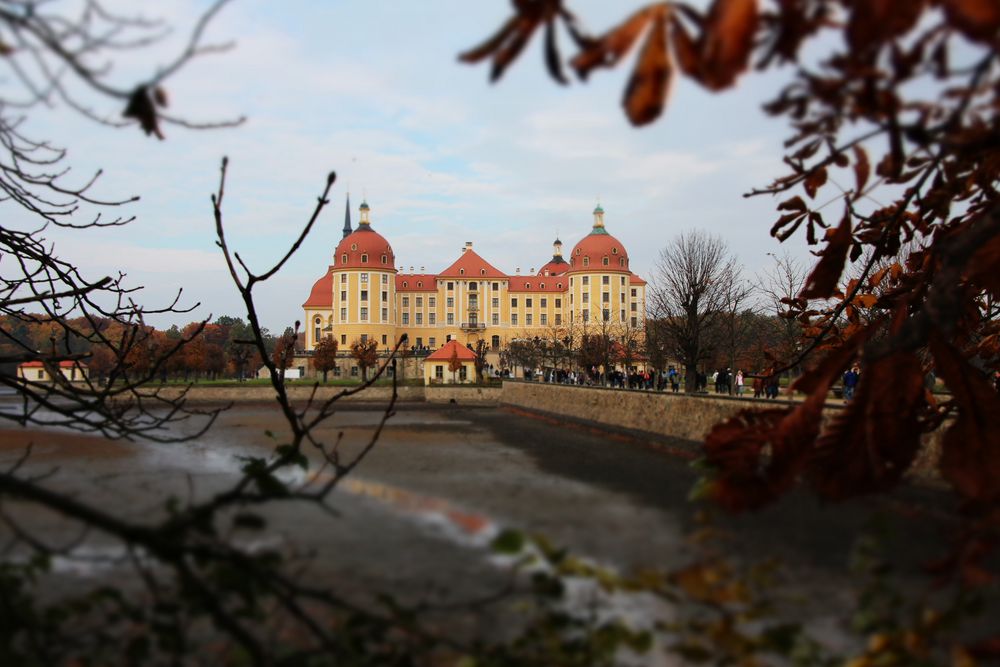 Moritzburg - beim Abfischen 2011