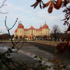 Moritzburg - beim Abfischen 2011