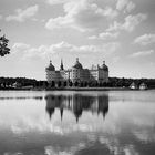 Moritzburg BW