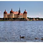 Moritzburg