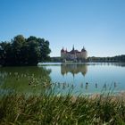 moritzburg