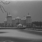 Moritzburg castle