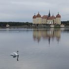 Moritzburg castle