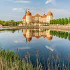 Moritzburg Castle