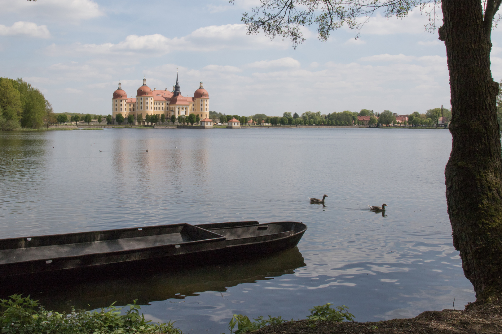 Moritzburg