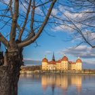 Moritzburg