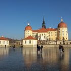 Moritzburg Eislaufen 4.03.2018